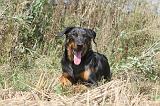 BEAUCERON 102